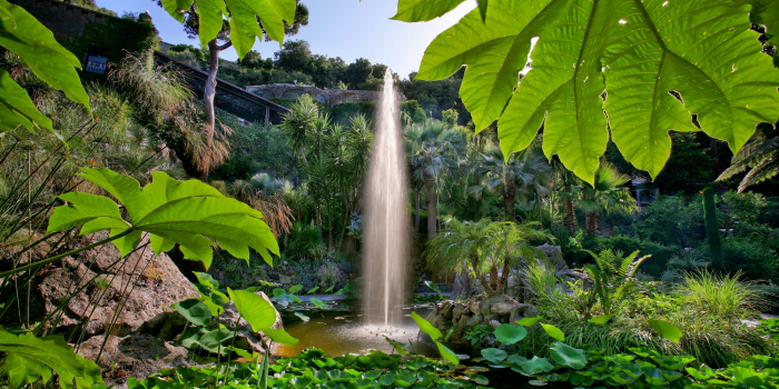 Giardini La Mortella